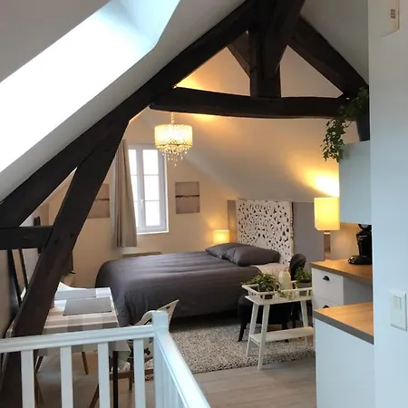 Maison Quatre Freres 3* ルーヴィエ